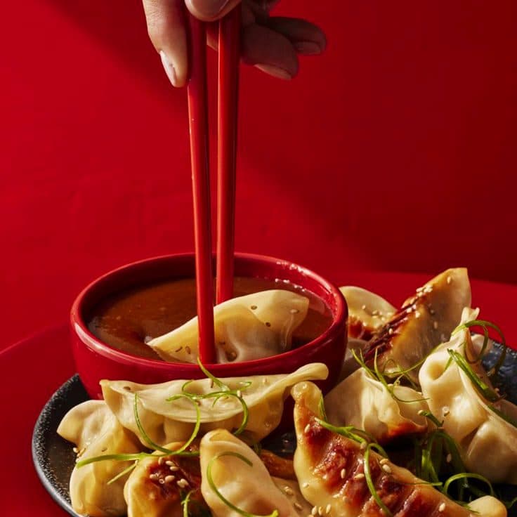 Asia Street Food: gyoza & co.