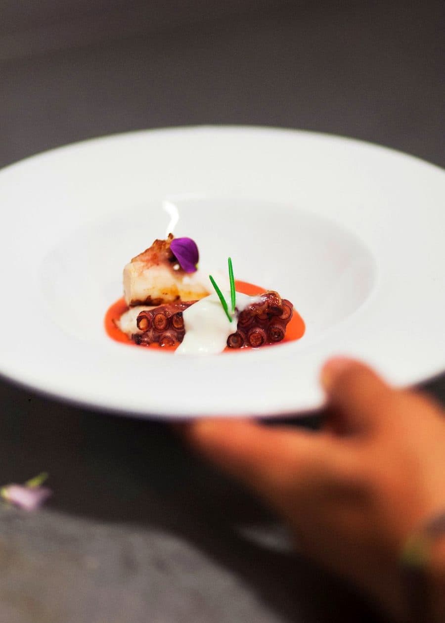 Polpo e pesce con crema di patate, serviti in un piatto fondo appena portato al passe.